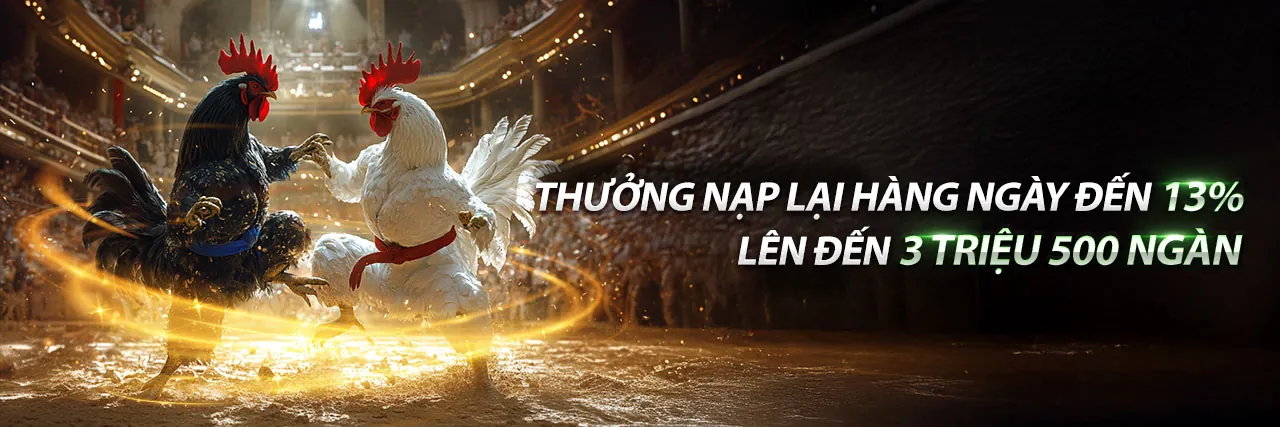 Đá gà ae88 win, sân đấu gà kịch tính